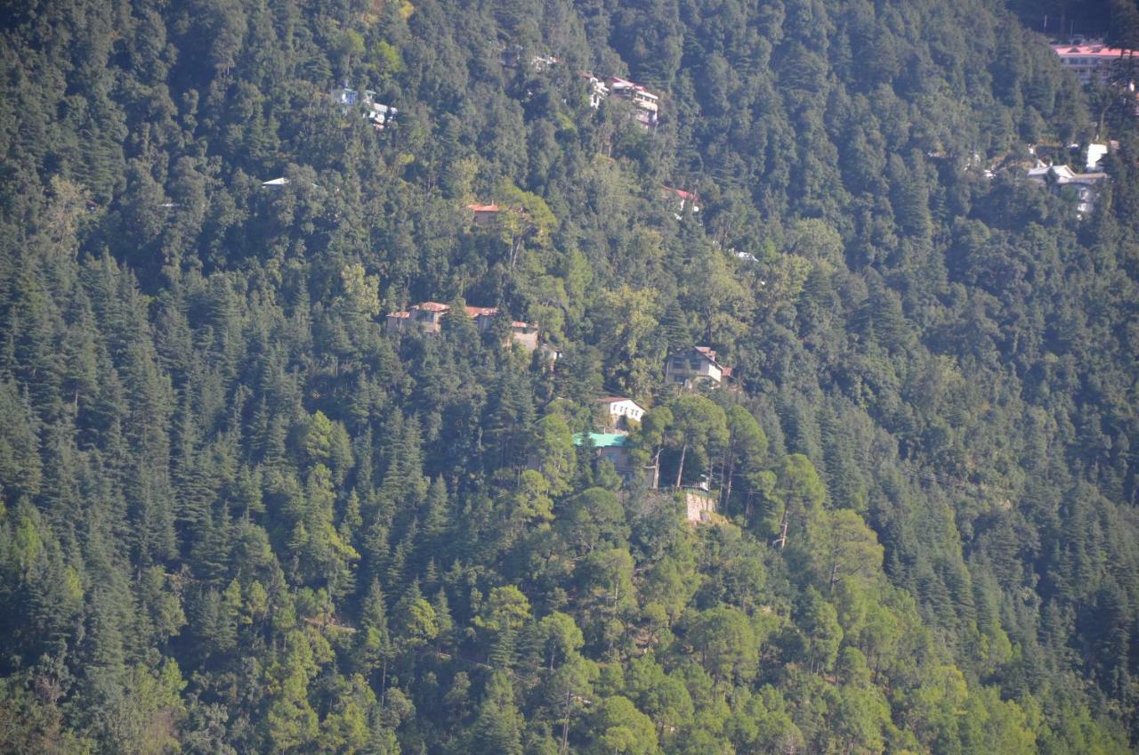 Peaceful Retreat Home Stay, Dalhousie Exterior foto